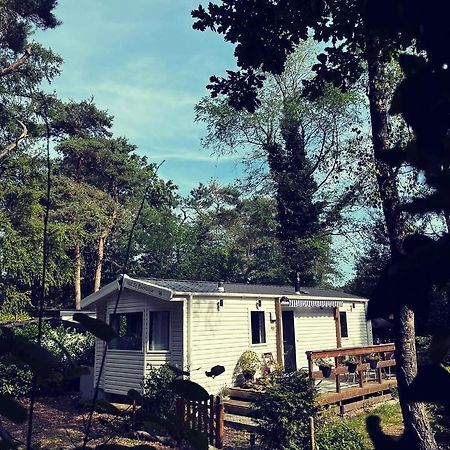 Knus Chalet Midden In De Bossen Nunspeet Exterior foto