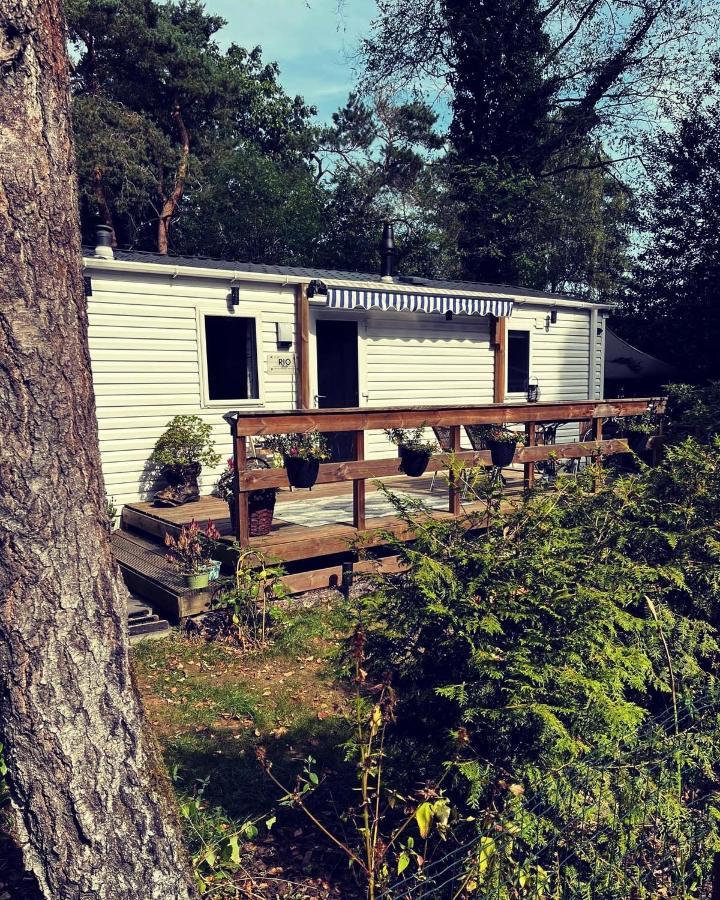 Knus Chalet Midden In De Bossen Nunspeet Exterior foto