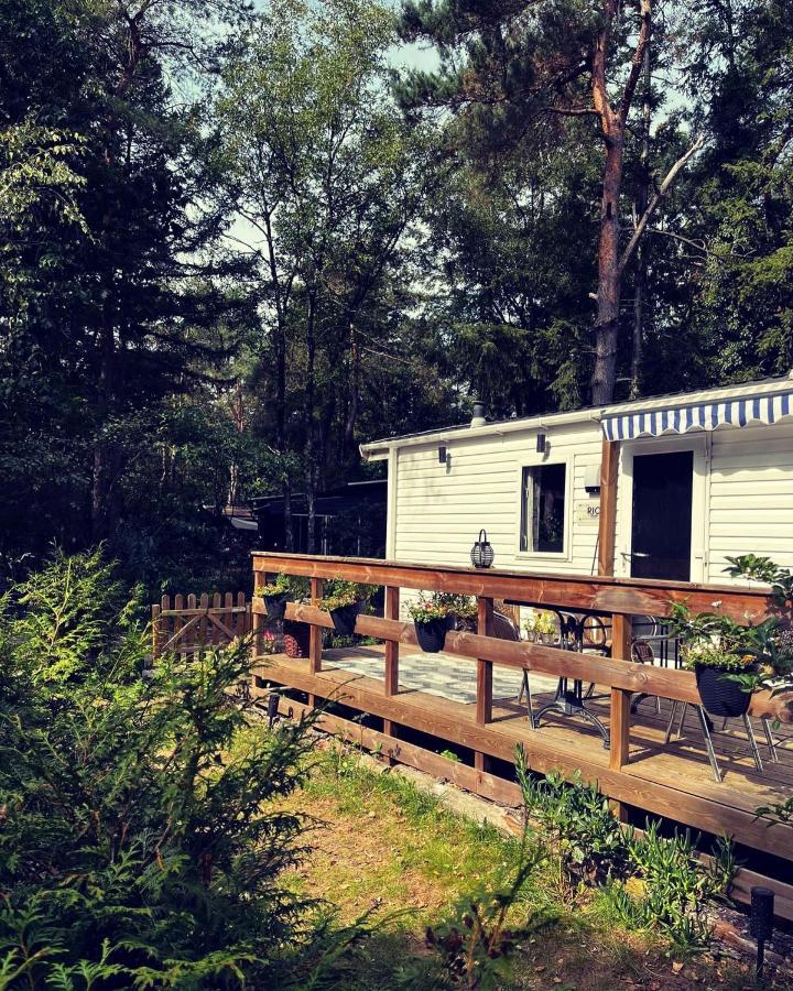 Knus Chalet Midden In De Bossen Nunspeet Exterior foto